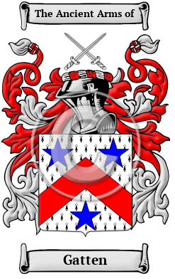 Gatten Family Crest/Coat of Arms