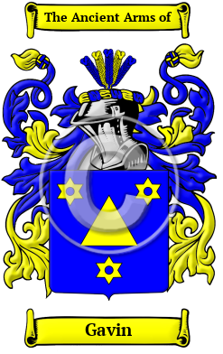 Med andre ord Menagerry Skjult Gavin Name Meaning, Family History, Family Crest & Coats of Arms, French