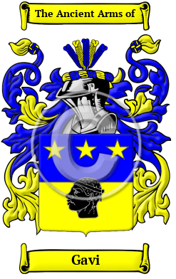 Gavi Family Crest Download (JPG) Heritage Series - 600 DPI