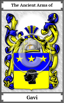 Gavi Family Crest Download (JPG) Book Plated - 300 DPI