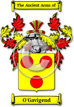 O'Gavigend Family Crest Download (jpg) Legacy Series - 150 DPI