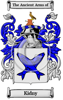 Kidny Family Crest/Coat of Arms
