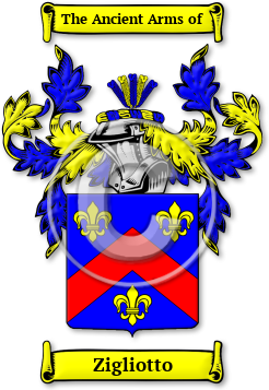 Zigliotto Family Crest Download (jpg) Legacy Series - 150 DPI