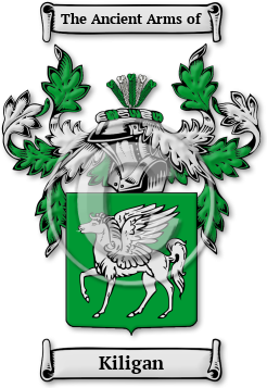 Kiligan Family Crest Download (jpg) Legacy Series - 150 DPI