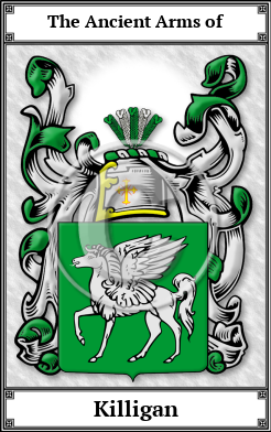 Killigan Family Crest Download (JPG)  Book Plated - 150 DPI