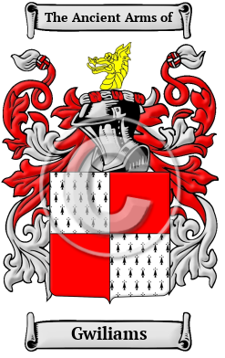 Gwiliams Family Crest Download (JPG) Heritage Series - 600 DPI
