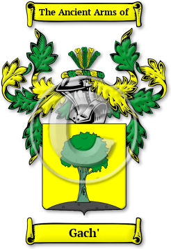Gach' Family Crest Download (jpg) Legacy Series - 150 DPI