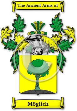 Möglich Family Crest Download (jpg) Legacy Series - 150 DPI