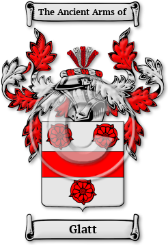 Glatt Family Crest Download (JPG) Legacy Series - 600 DPI