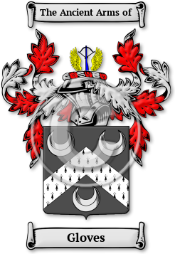 Gloves Family Crest Download (jpg) Legacy Series - 150 DPI