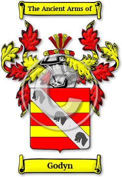 Godyn Family Crest Download (JPG) Legacy Series - 600 DPI