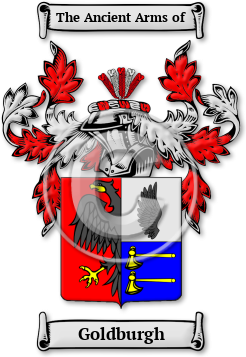 Goldburgh Family Crest Download (jpg) Legacy Series - 150 DPI