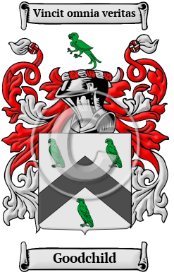 Goodchild Family Crest Download (JPG) Heritage Series - 600 DPI