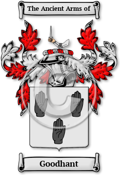 Goodhant Family Crest Download (jpg) Legacy Series - 150 DPI