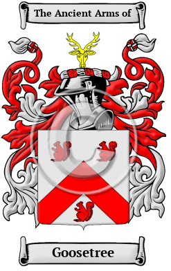 Goosetree Family Crest Download (JPG) Heritage Series - 600 DPI