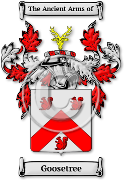 Goosetree Family Crest Download (jpg) Legacy Series - 150 DPI