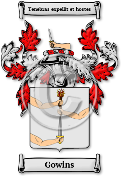 Gowins Family Crest Download (JPG) Legacy Series - 600 DPI