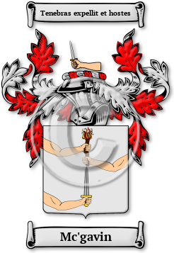 Mc'gavin Family Crest Download (jpg) Legacy Series - 150 DPI