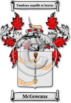 McGowans Family Crest Download (jpg) Legacy Series - 150 DPI