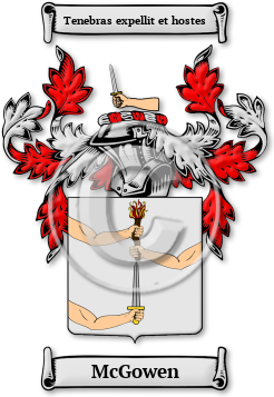 McGowen Family Crest Download (JPG) Legacy Series - 600 DPI