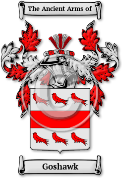 Goshawk Family Crest Download (jpg) Legacy Series - 150 DPI