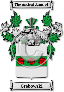 Grabowski Family Crest Download (jpg) Legacy Series - 150 DPI