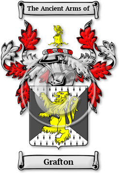 Grafton Family Crest Download (jpg) Legacy Series - 150 DPI