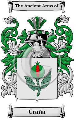 Graña Family Crest Download (JPG) Heritage Series - 600 DPI