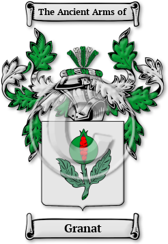 Granat Family Crest Download (jpg) Legacy Series - 150 DPI