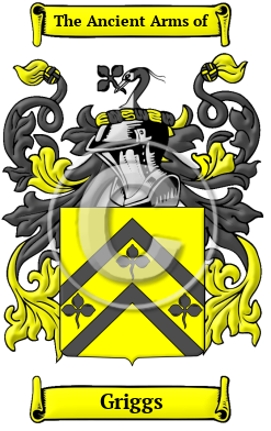 Parrish Name Meaning, Family History, Family Crest & Coats of Arms