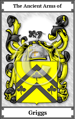 Griggs Family Crest Download (JPG)  Book Plated - 150 DPI