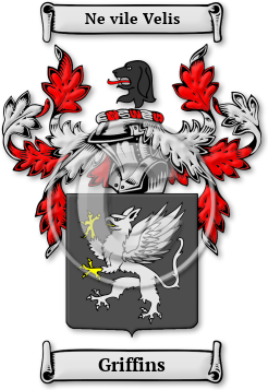 Griffins Family Crest Download (jpg) Legacy Series - 150 DPI