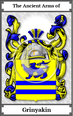 Grinyakin Family Crest Download (JPG)  Book Plated - 150 DPI