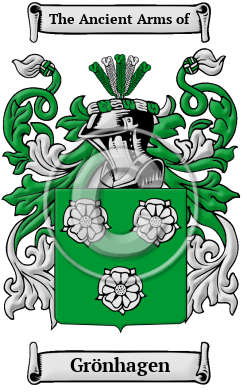 Grönhagen Family Crest/Coat of Arms