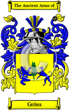 Gröss Family Crest Download (JPG) Heritage Series - 600 DPI