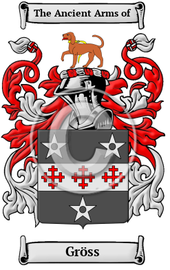 Gröss Family Crest Download (JPG) Heritage Series - 300 DPI