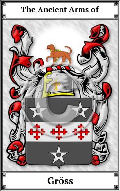 Gröss Family Crest Download (JPG)  Book Plated - 150 DPI