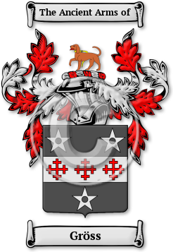 Gröss Family Crest Download (jpg) Legacy Series - 150 DPI