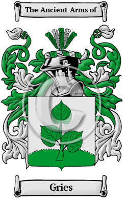Gries Family Crest Download (JPG) Heritage Series - 600 DPI