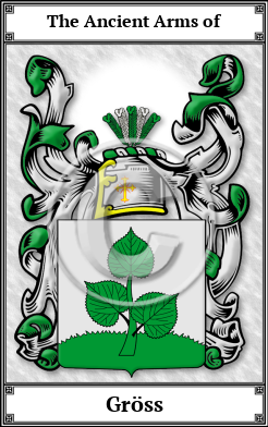 Gröss Family Crest Download (JPG)  Book Plated - 150 DPI