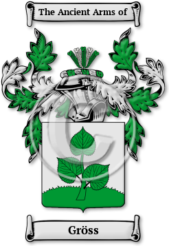 Gröss Family Crest Download (jpg) Legacy Series - 150 DPI