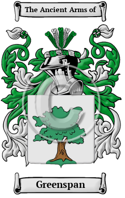 Greenspan Family Crest Download (JPG) Heritage Series - 600 DPI