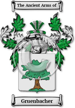 Gruenbacher Family Crest Download (jpg) Legacy Series - 150 DPI