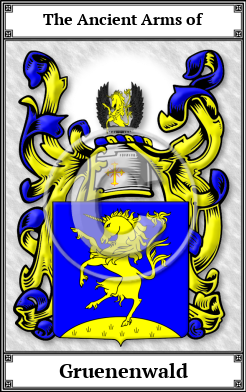 Gruenenwald Family Crest Download (JPG)  Book Plated - 150 DPI
