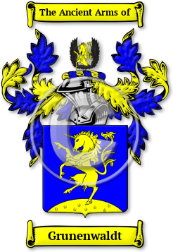 Grunenwaldt Family Crest Download (jpg) Legacy Series - 150 DPI