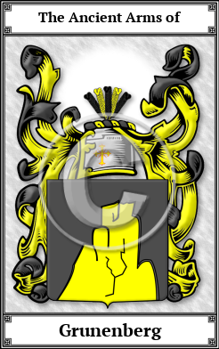 Grunenberg Family Crest Download (JPG)  Book Plated - 150 DPI
