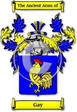 Gay Family Crest Download (JPG) Legacy Series - 600 DPI