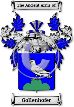 Gollenhofer Family Crest Download (JPG) Legacy Series - 600 DPI