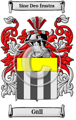 Güll Family Crest Download (JPG) Heritage Series - 300 DPI