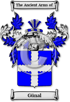 Günal Family Crest Download (JPG) Legacy Series - 600 DPI